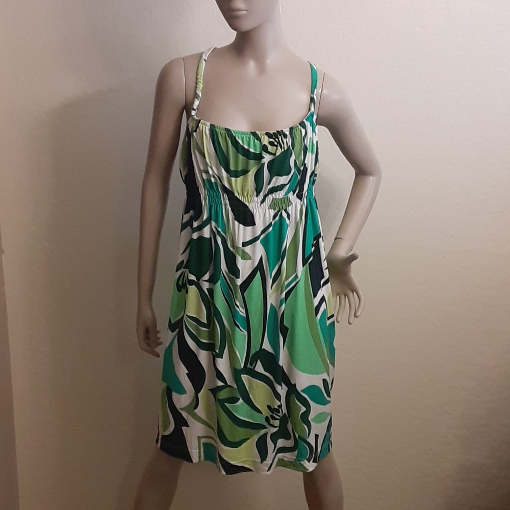 Muse Dress (Boston Proper)